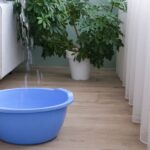Segnali nascosti per individuare perdite d’acqua in casa